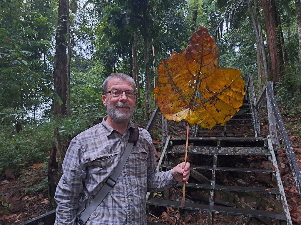 nigel&leaf