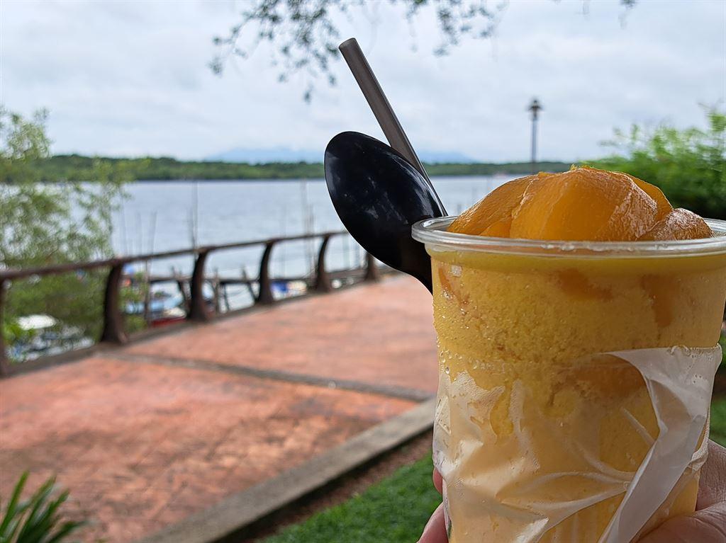 mangoshake