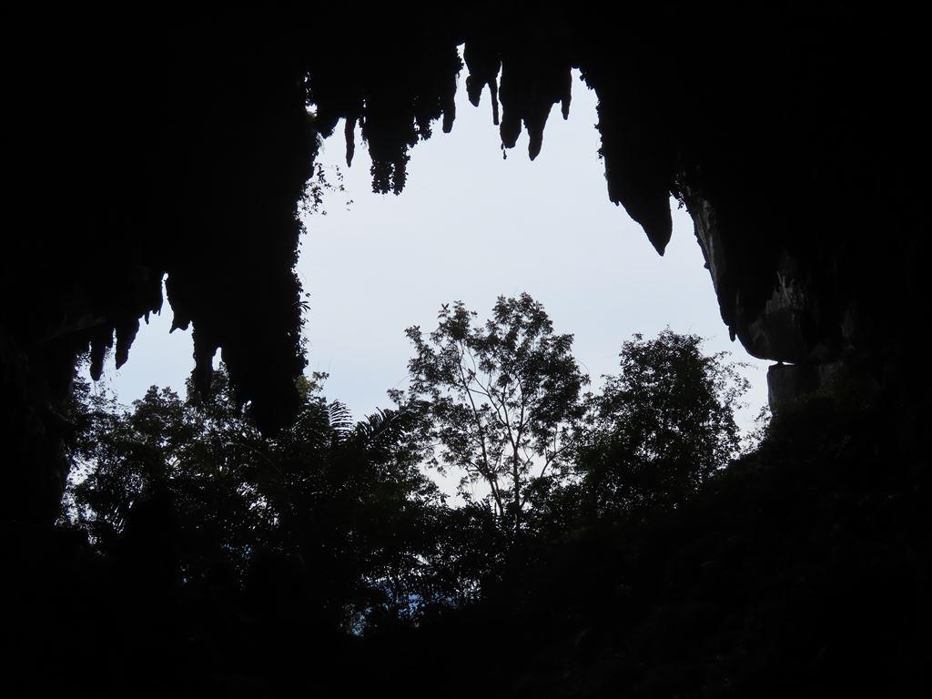 darkopening