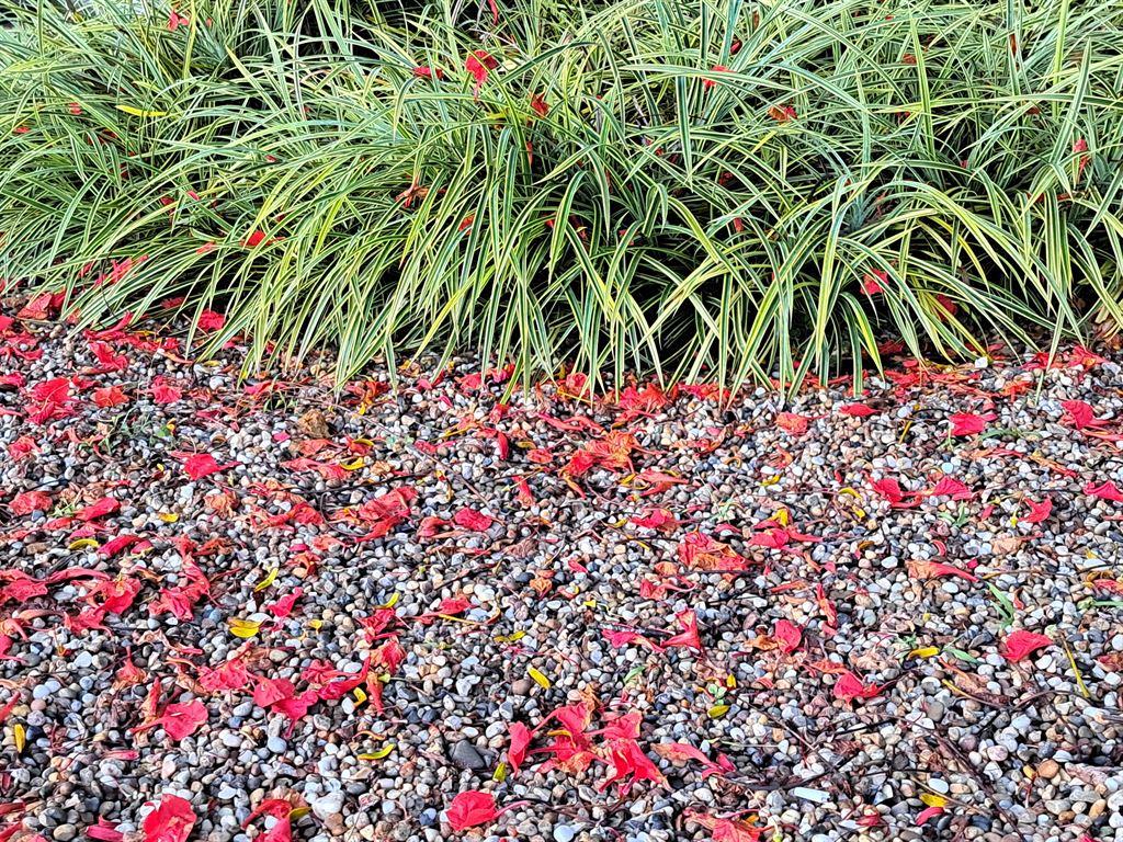 red