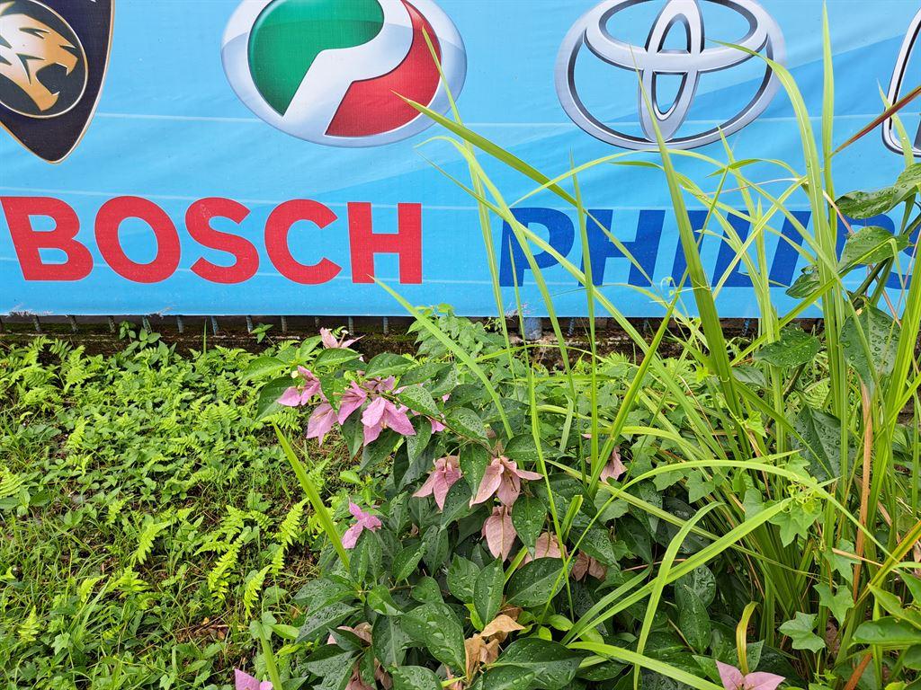 bosch