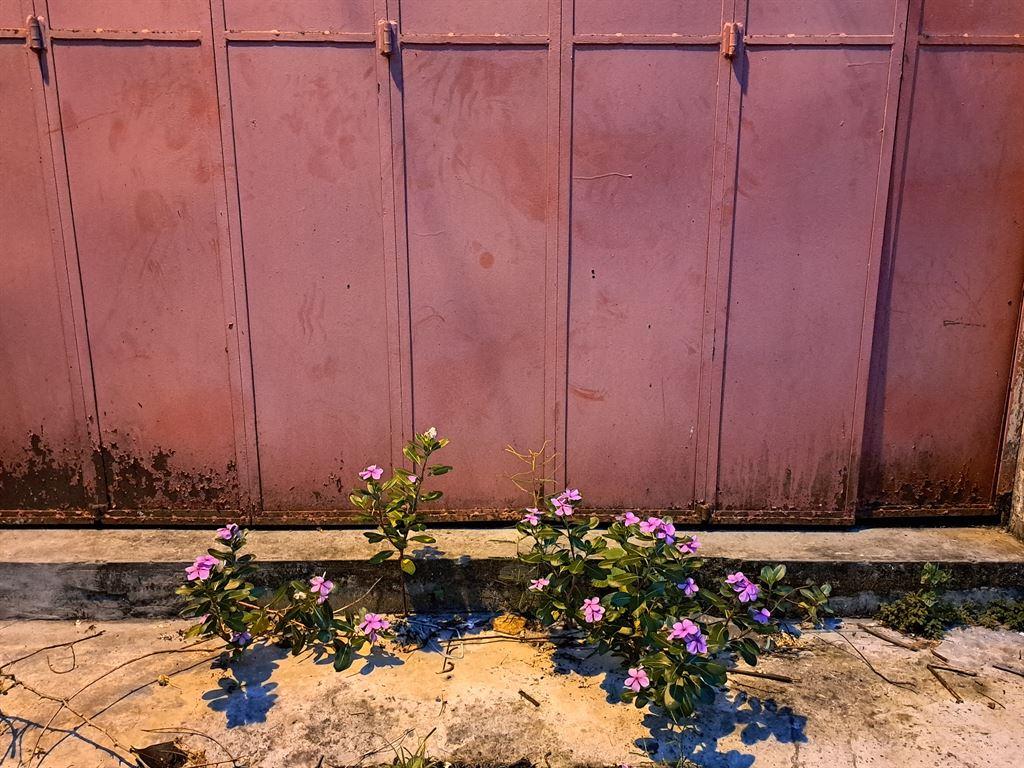 doors