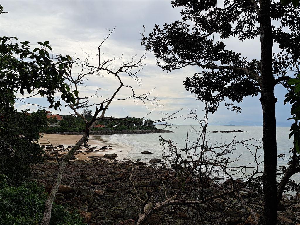 view