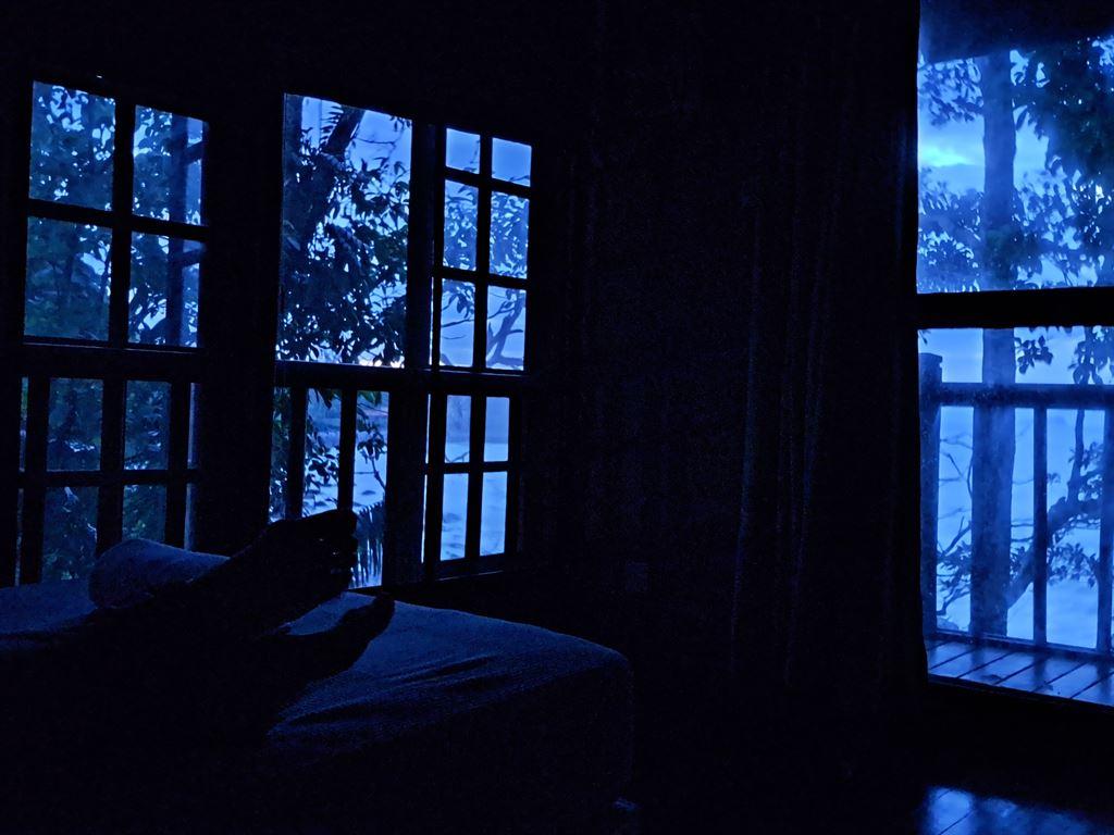 evening