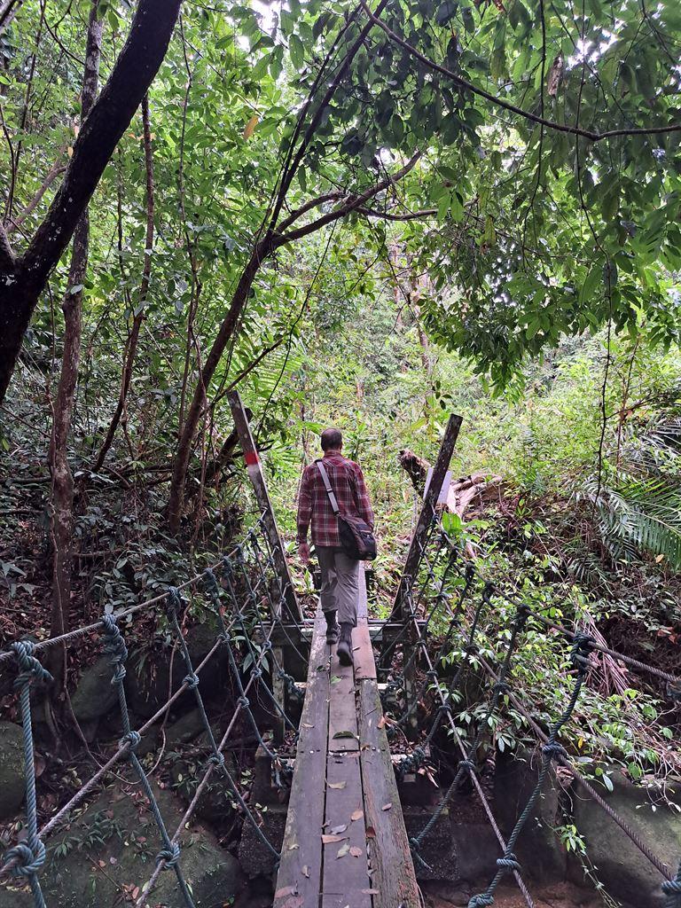 bridge1