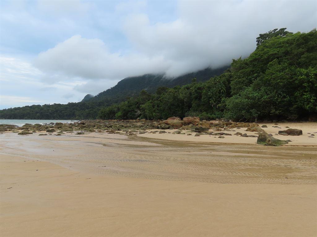 1beach1