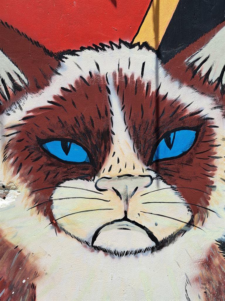 cats2
