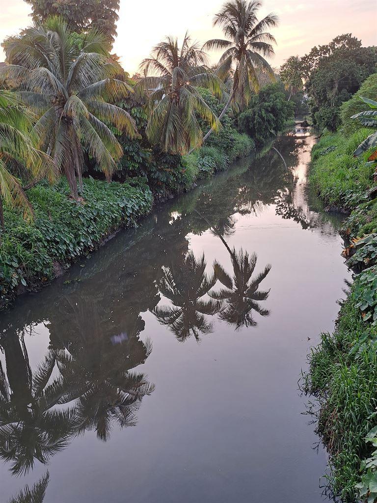 sunday