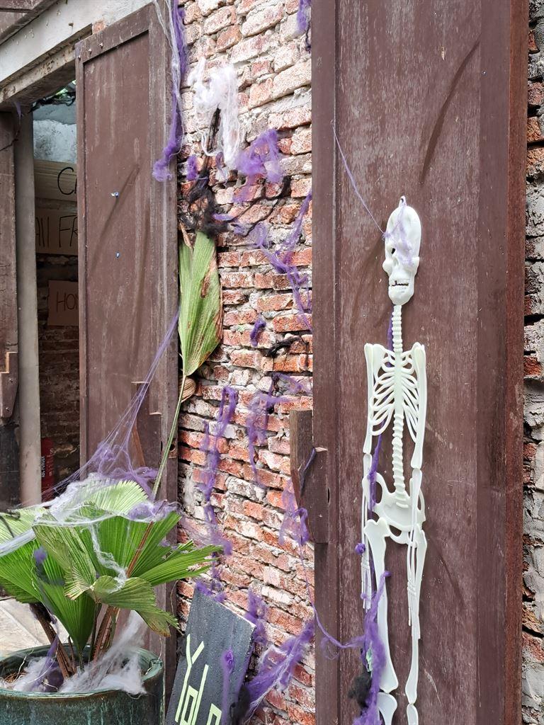 skeleton