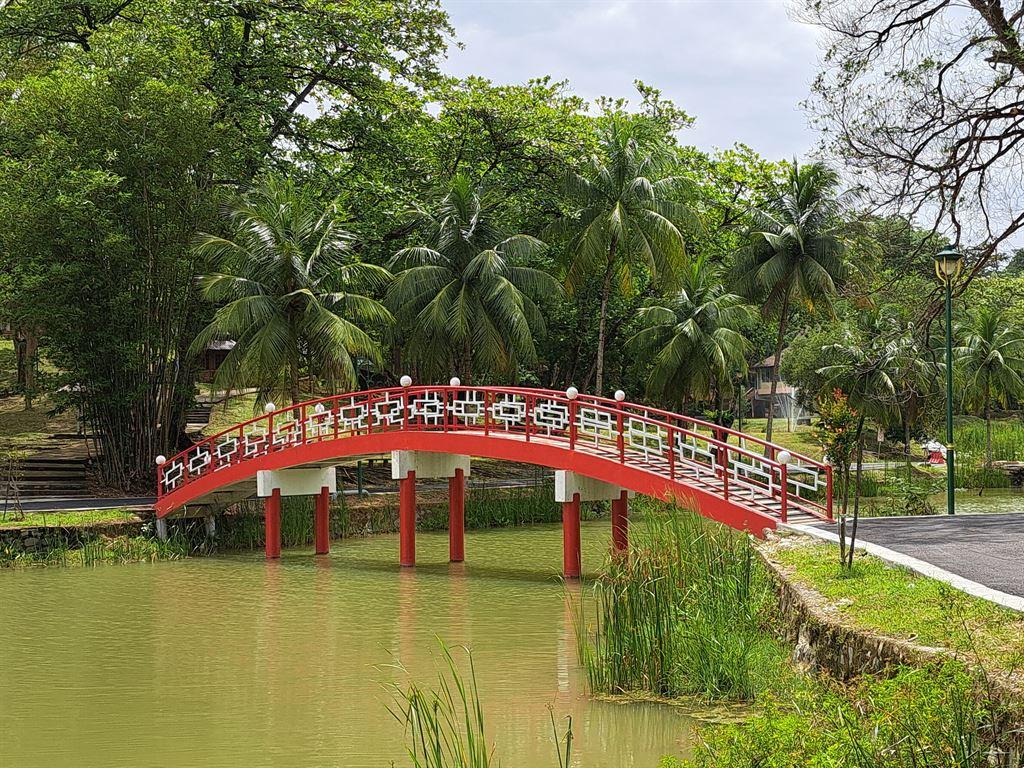 bridge