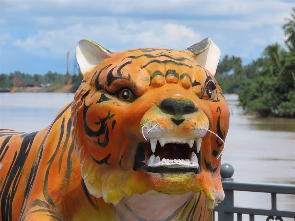 tiger