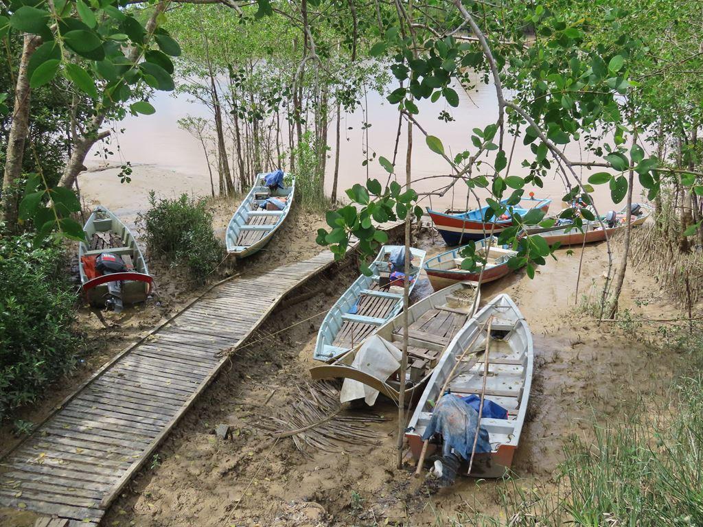 boatsonbank