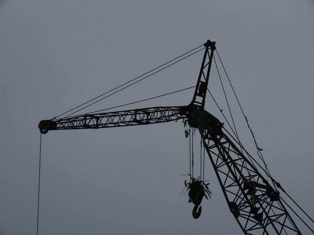 crane