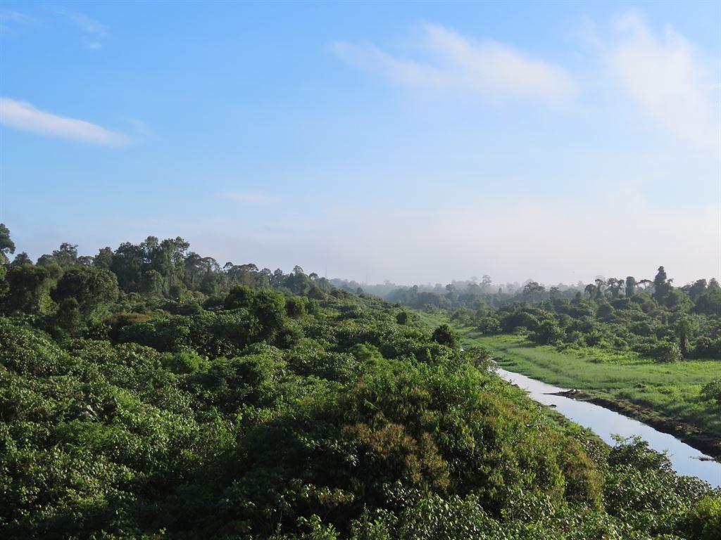 view