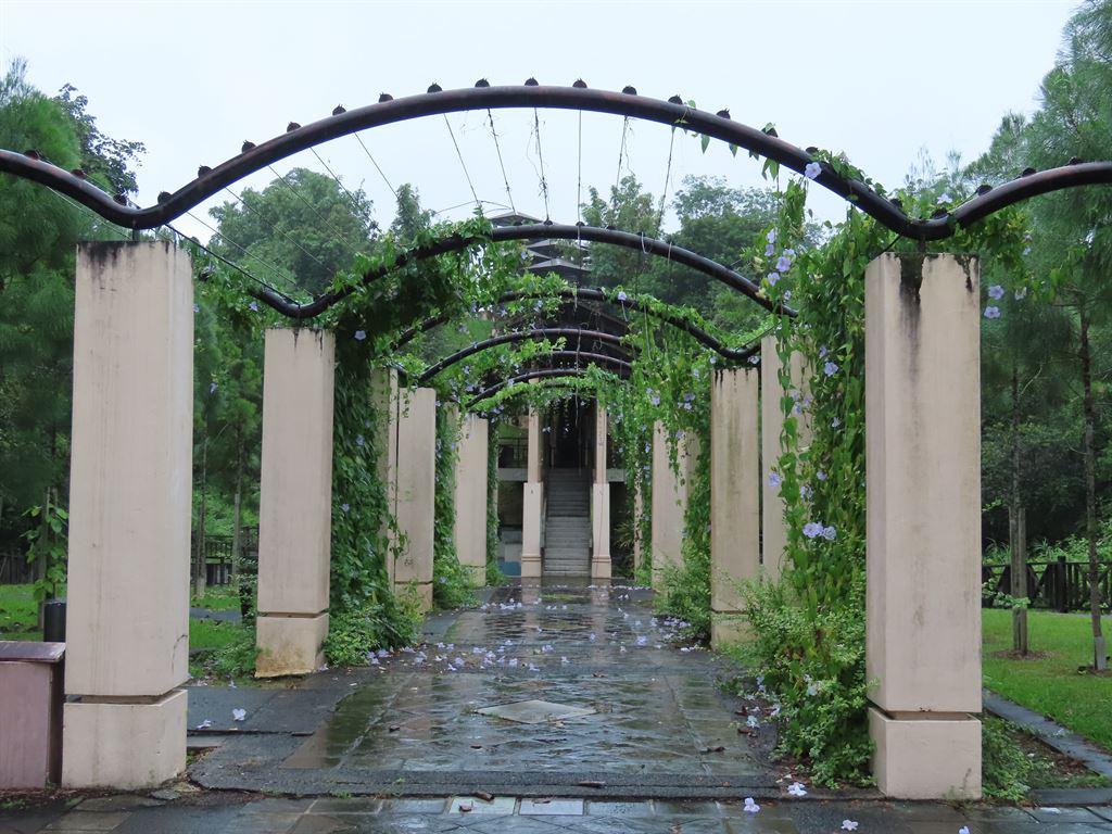 pergola