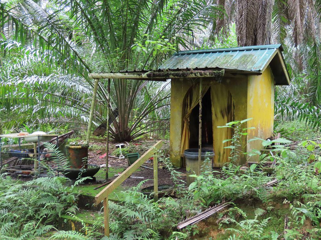 yellowshrine1