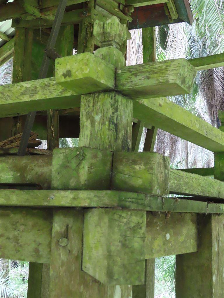 shrine3