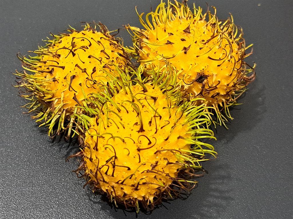 yellowrambs