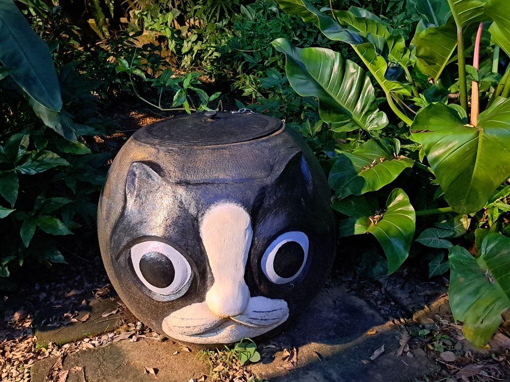 catbin