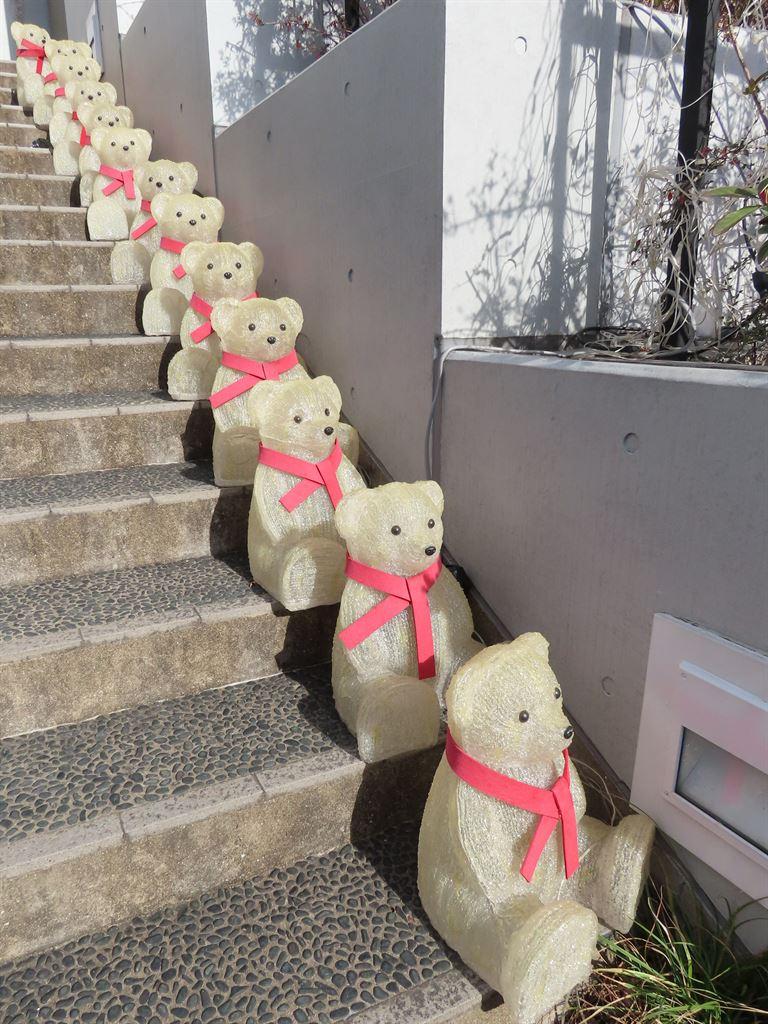 bears