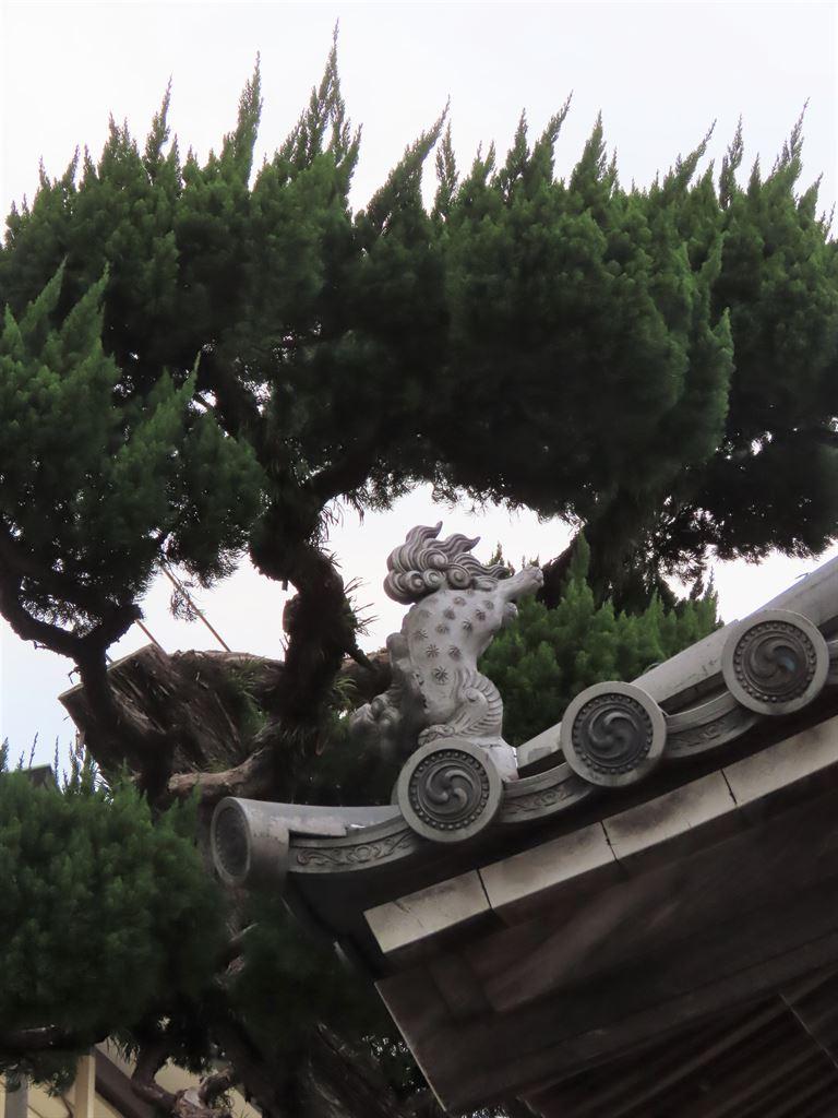 rooffigure