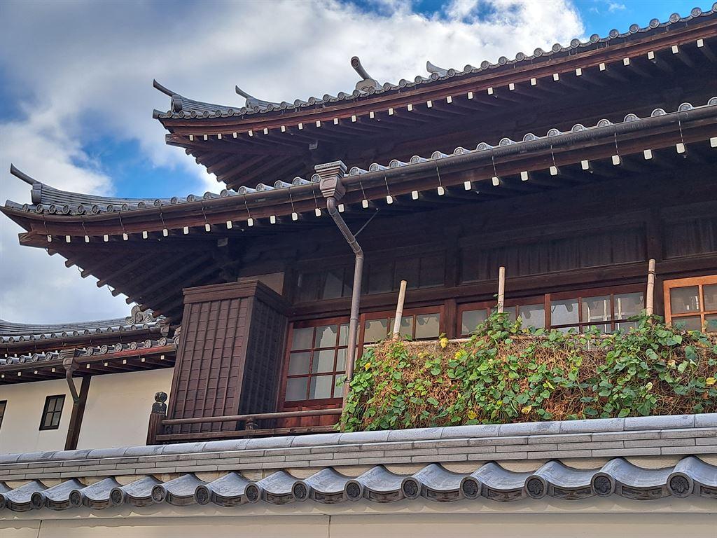 hoshoji1
