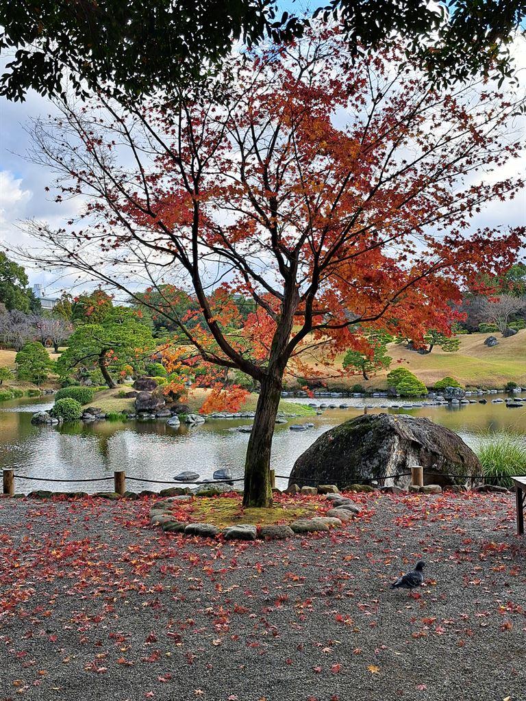 red&orange