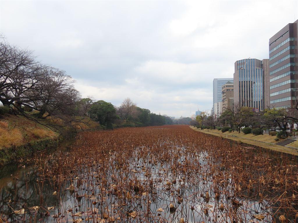 moat