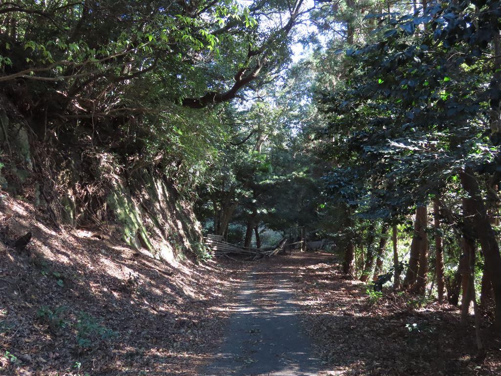 path