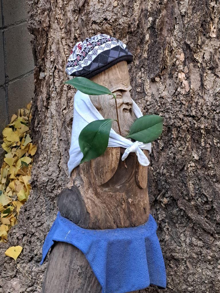 woodenfigure
