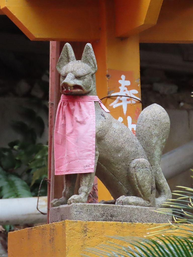 dogsquirrel