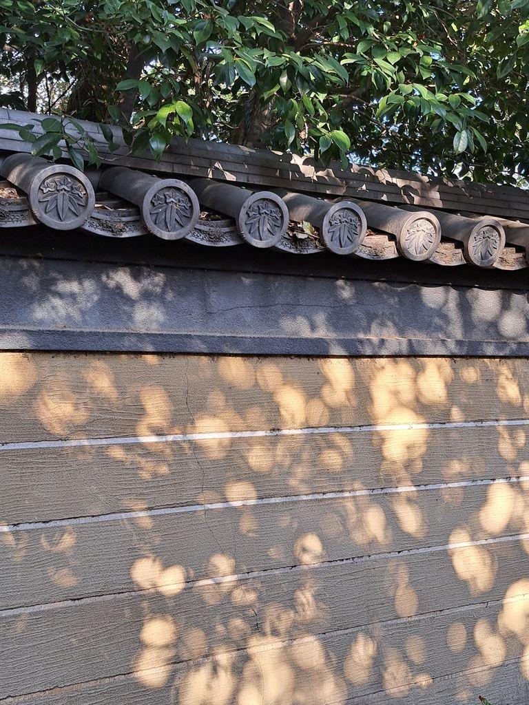wall
