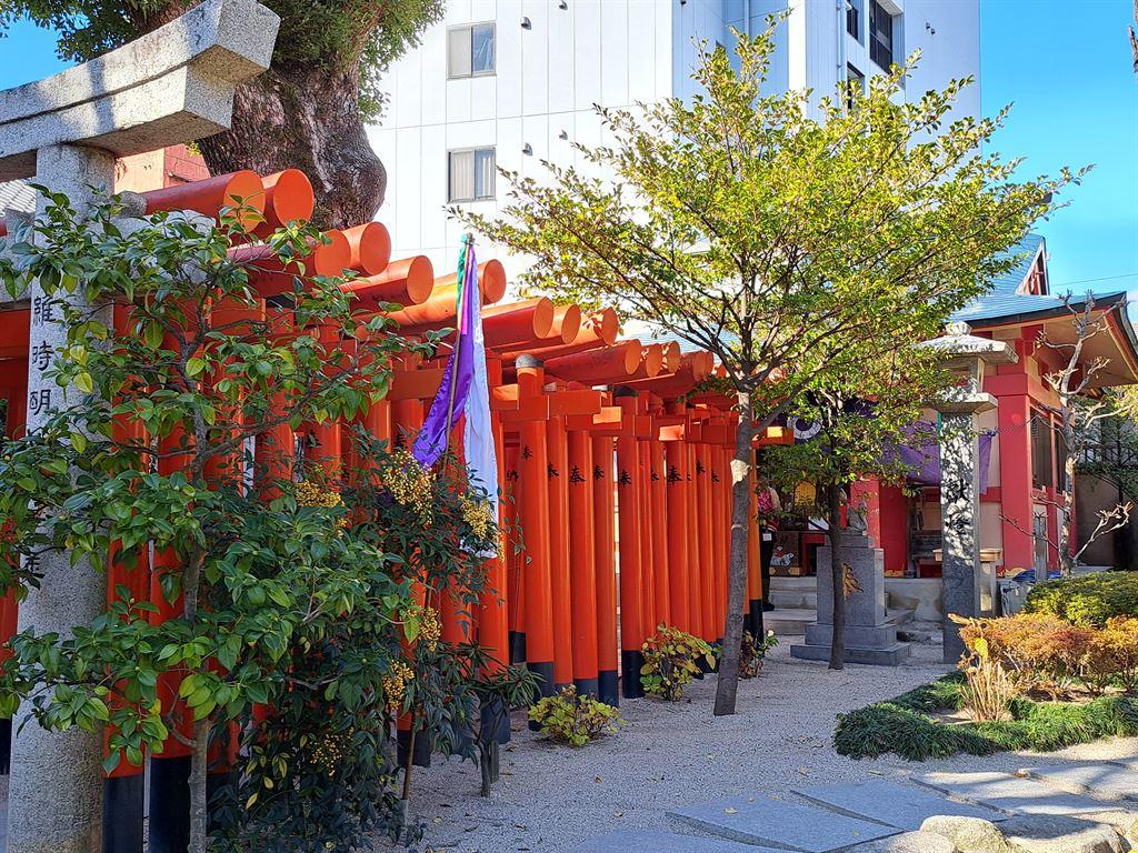 torii2