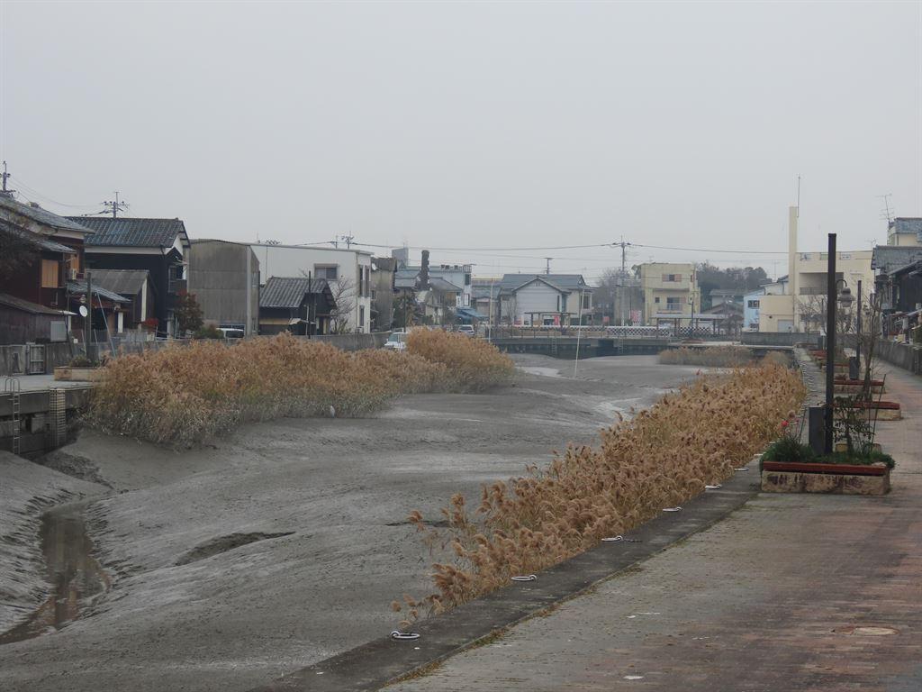 tidalriver