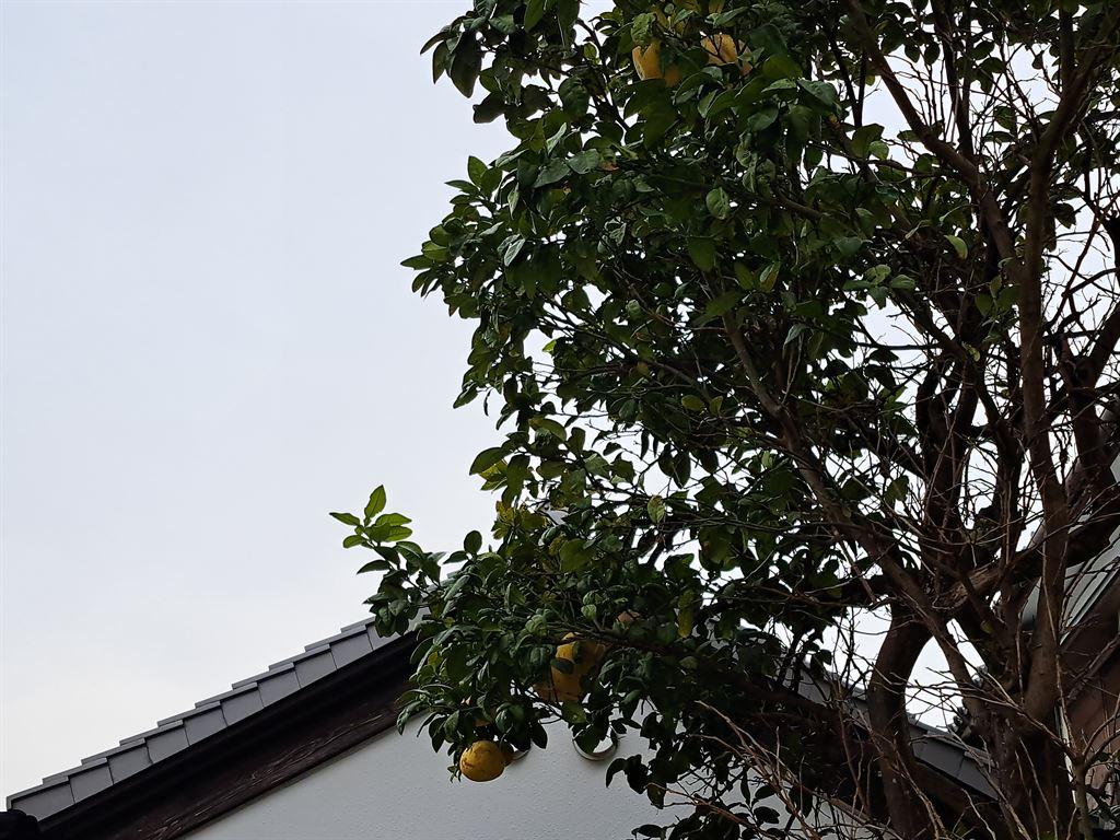 birthplace1