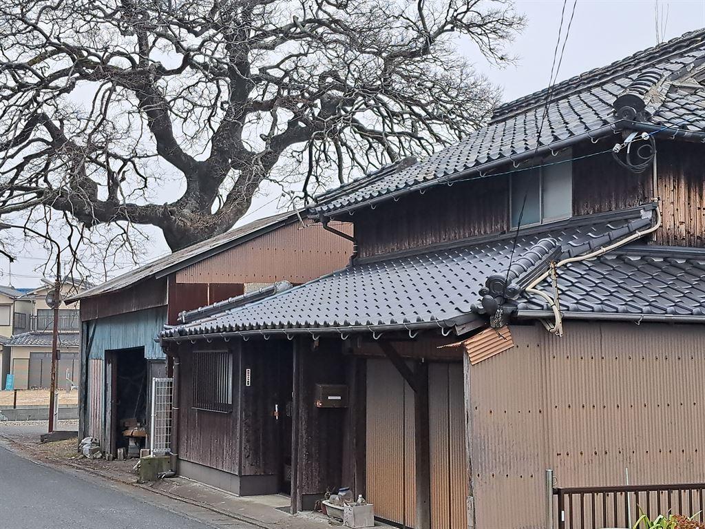 house&tree