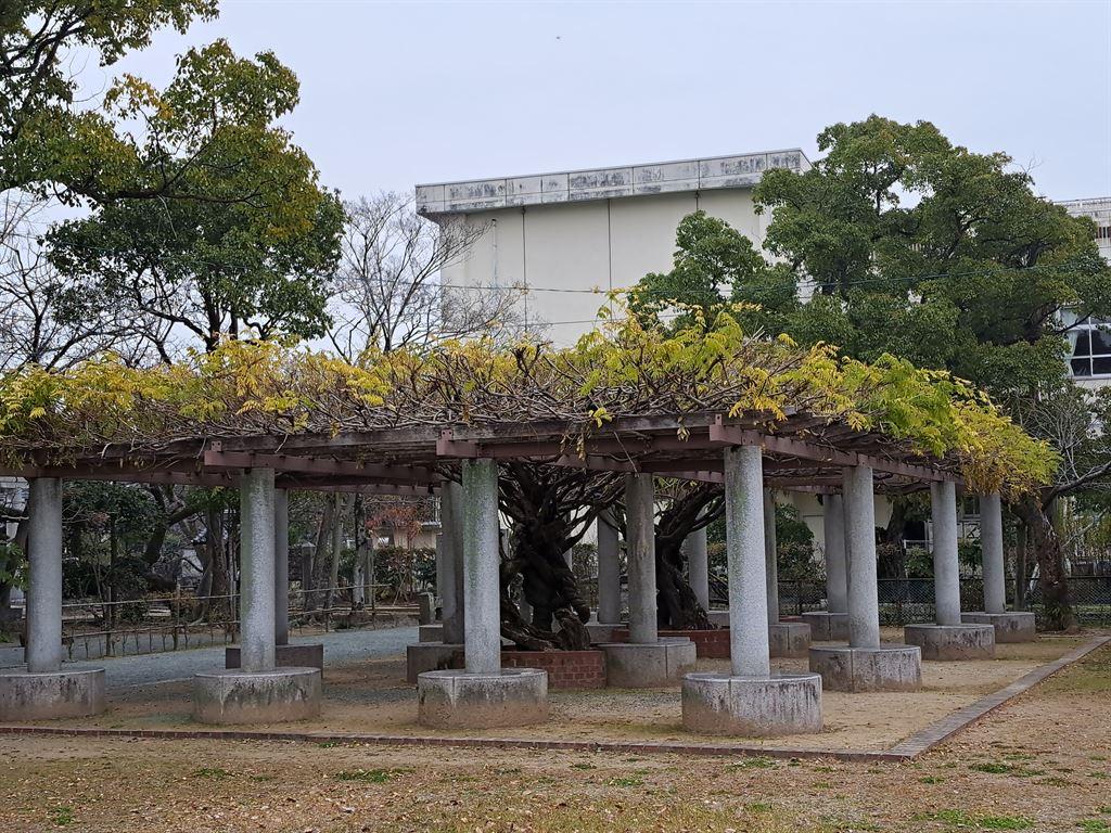 vines