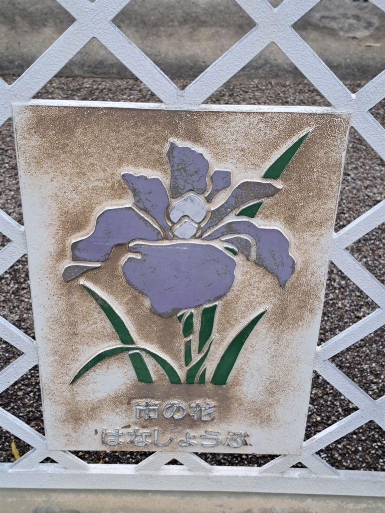 grubbyflower