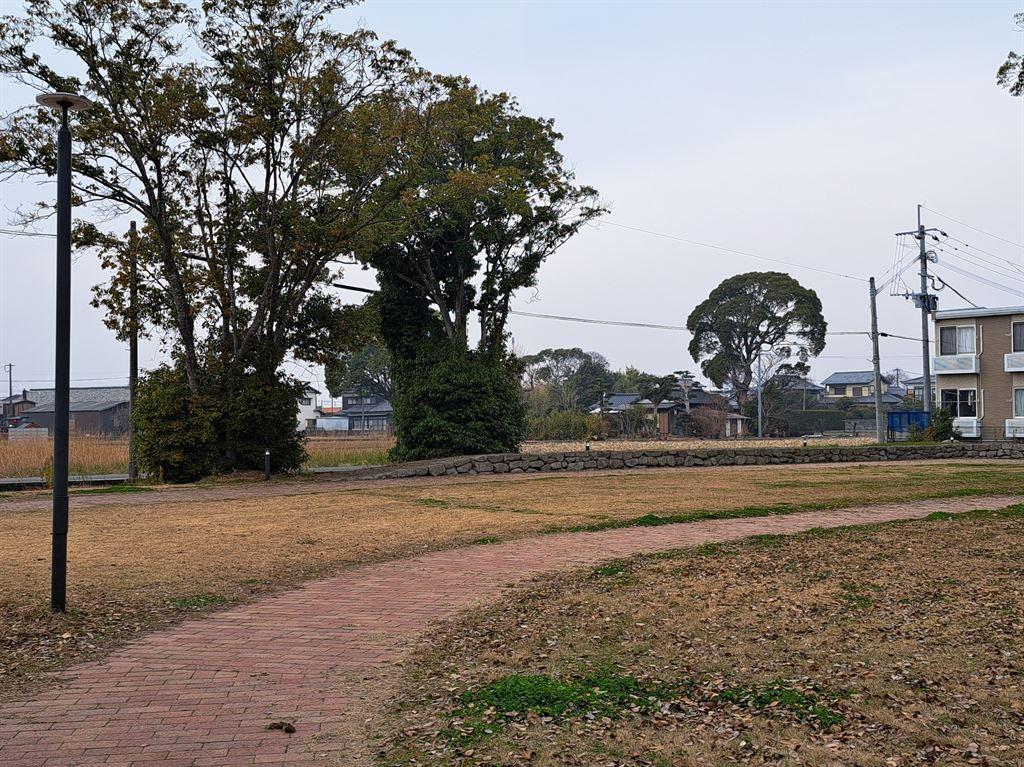 yokofamilyfield