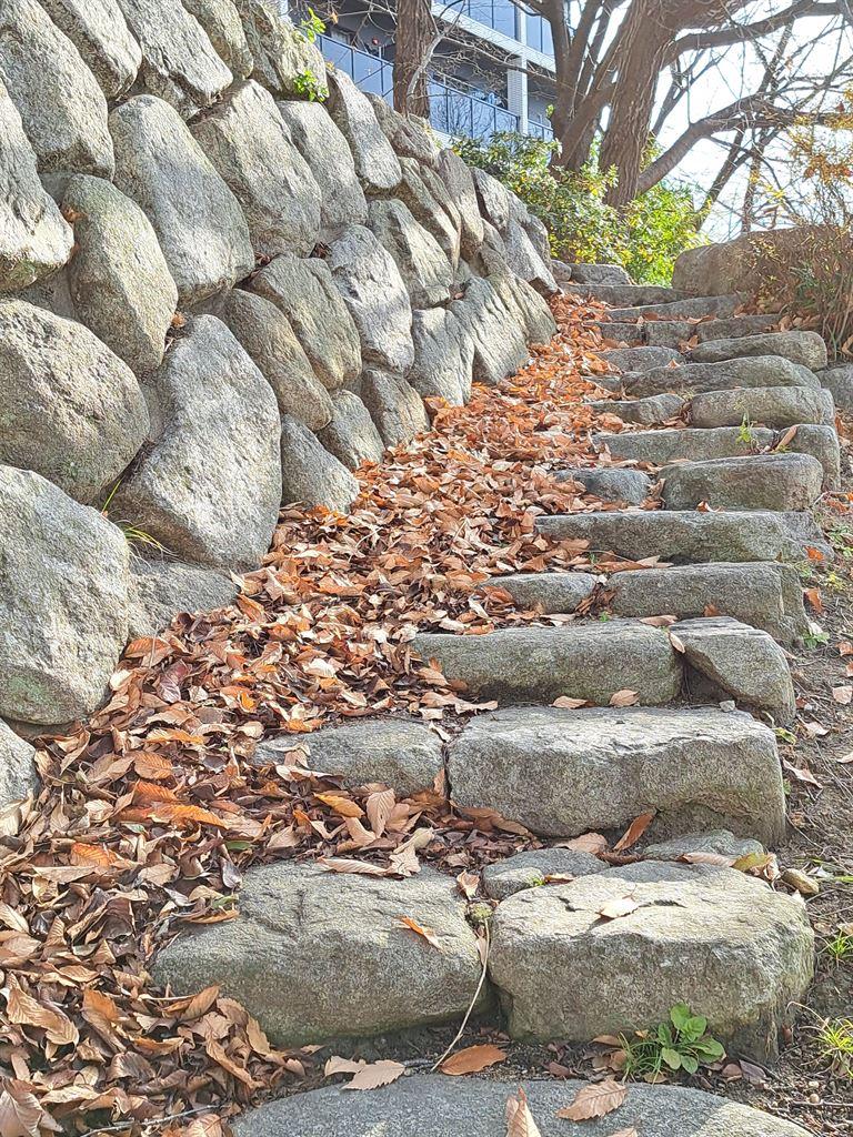steps