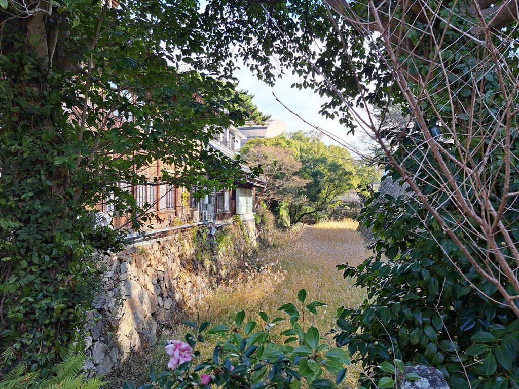 drymoat