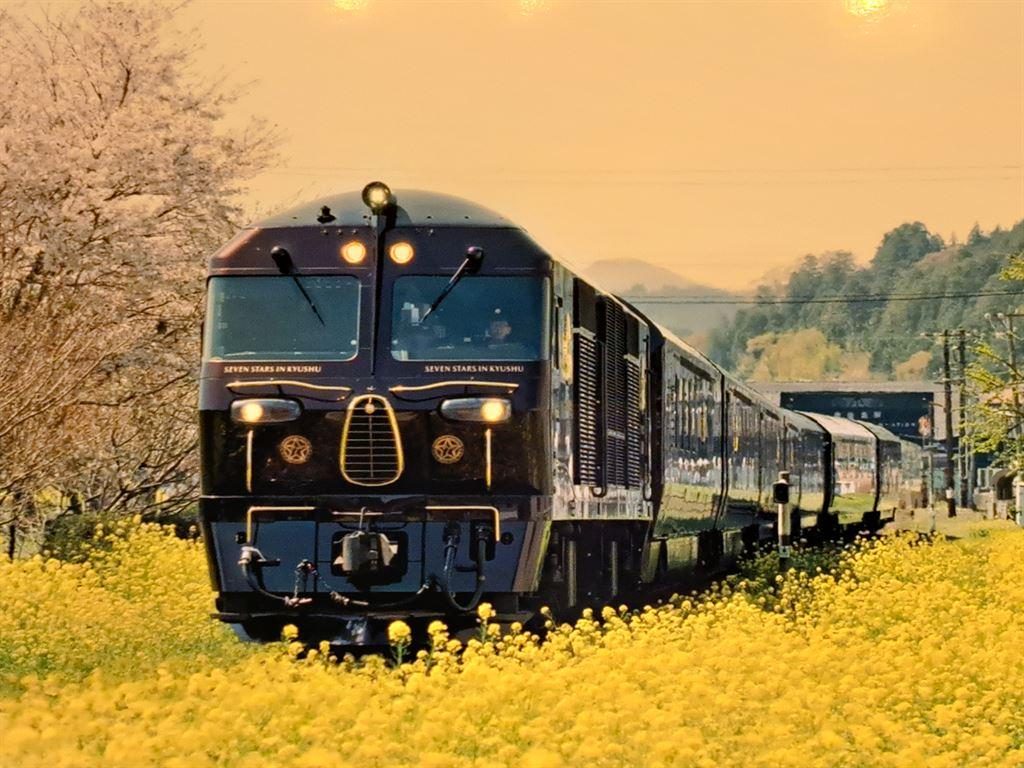 train&flowers
