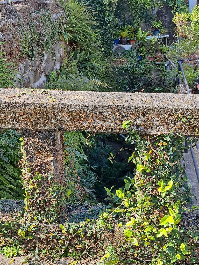 moat