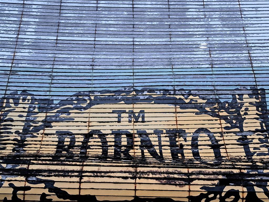 borneoblind