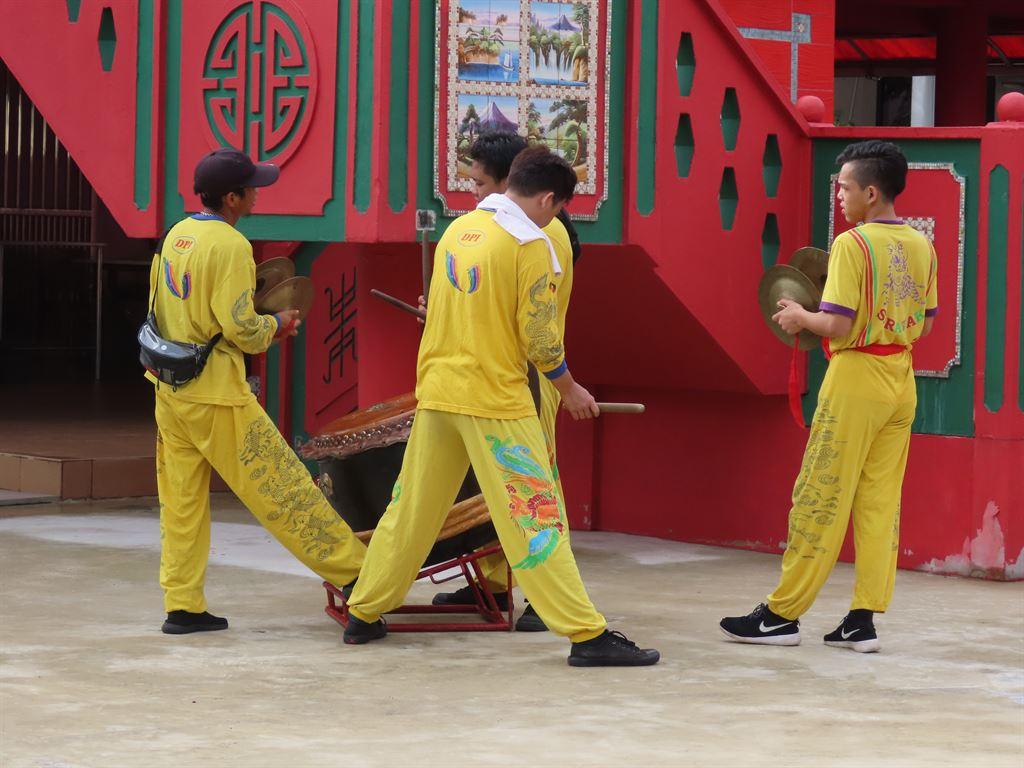 lionboys