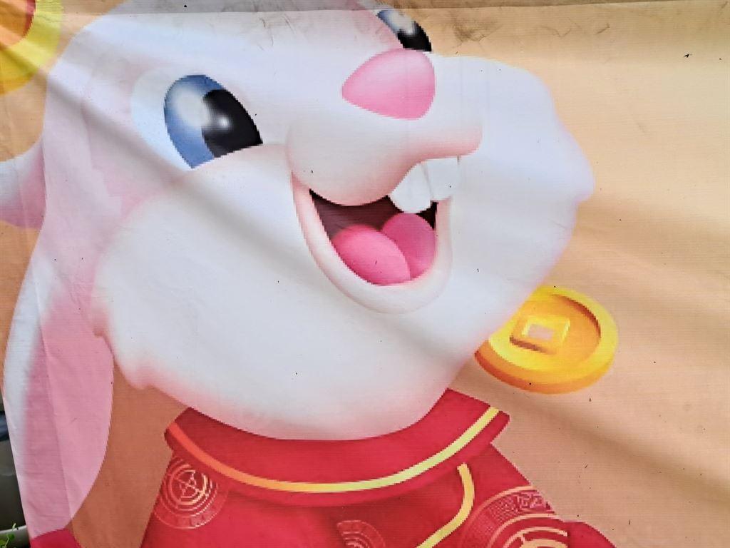 bunny