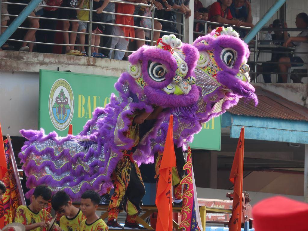 lions1