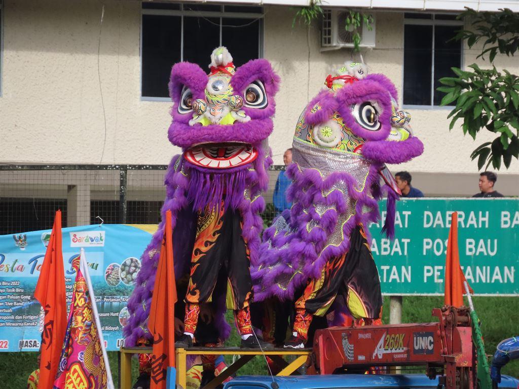 purpledragons2