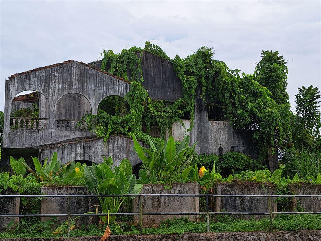 overgrown