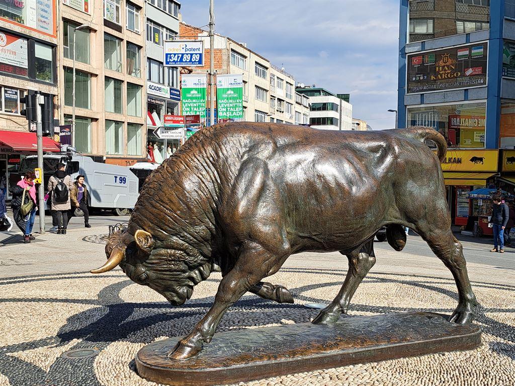 bull